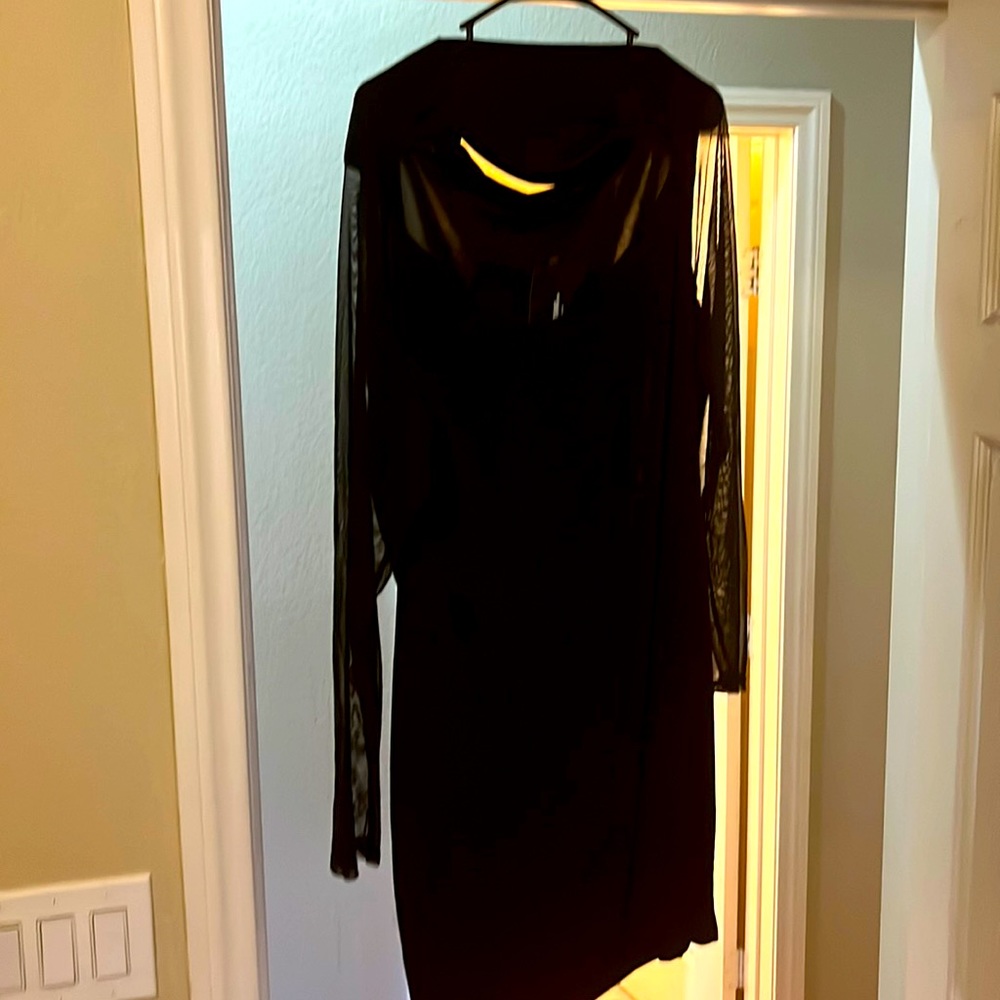 Pretty Thing Black Sheer Mini  dress
